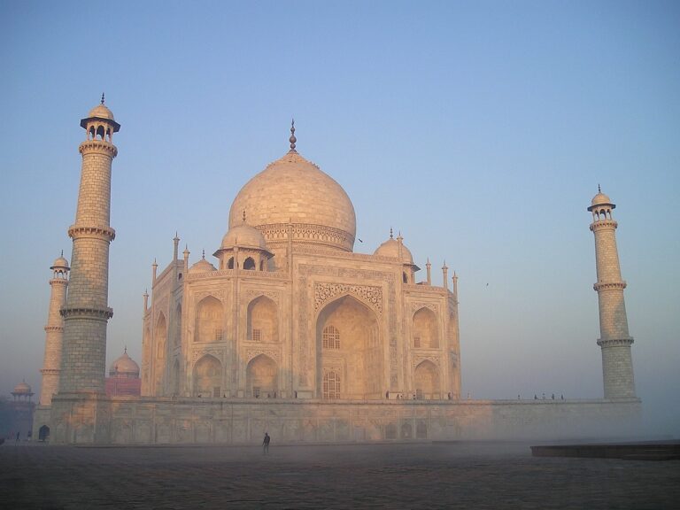 Préparation d’un voyage pour aller en Inde