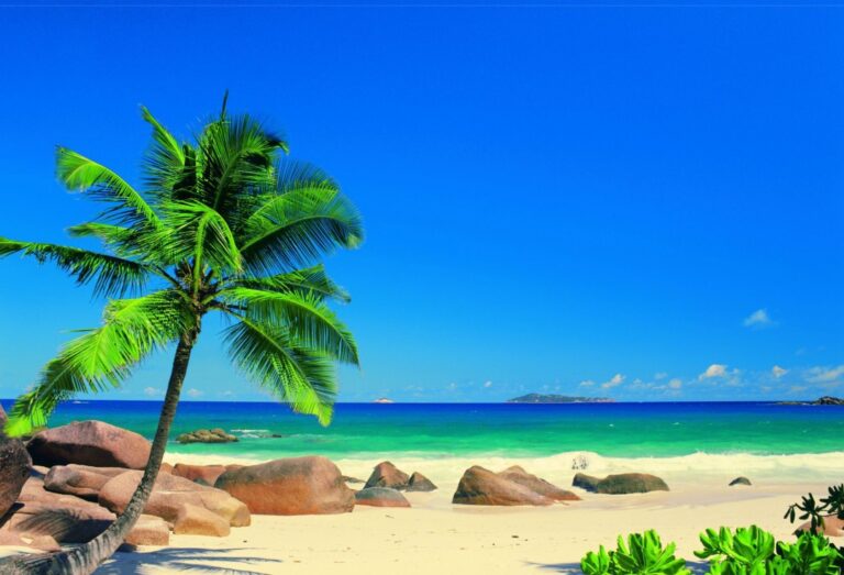 Partir en croisière aux Antilles ou Caraïbes ?