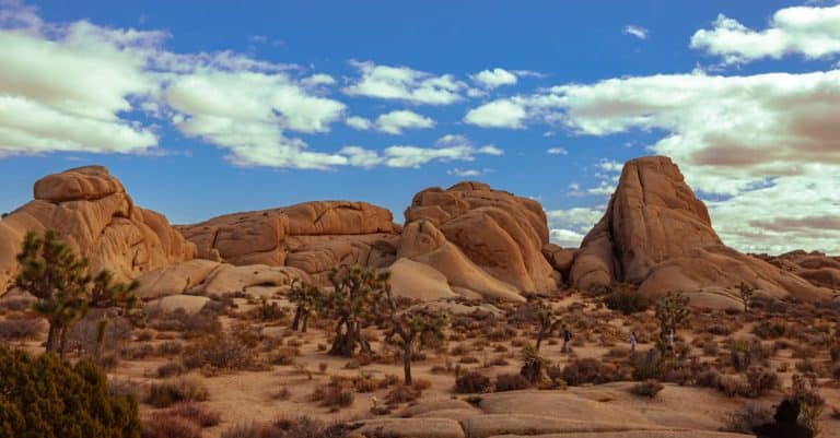 Quelles sont les destinations incroyables à découvrir ?