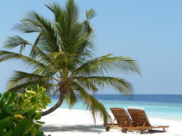 Comment profiter de vacances paradisiaques ?