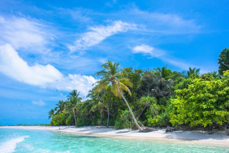 Quelles sont les destinations paradisiaques à explorer ?