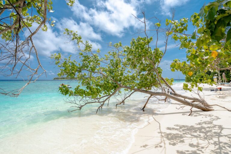 Quelles sont les destinations incroyables à explorer ?